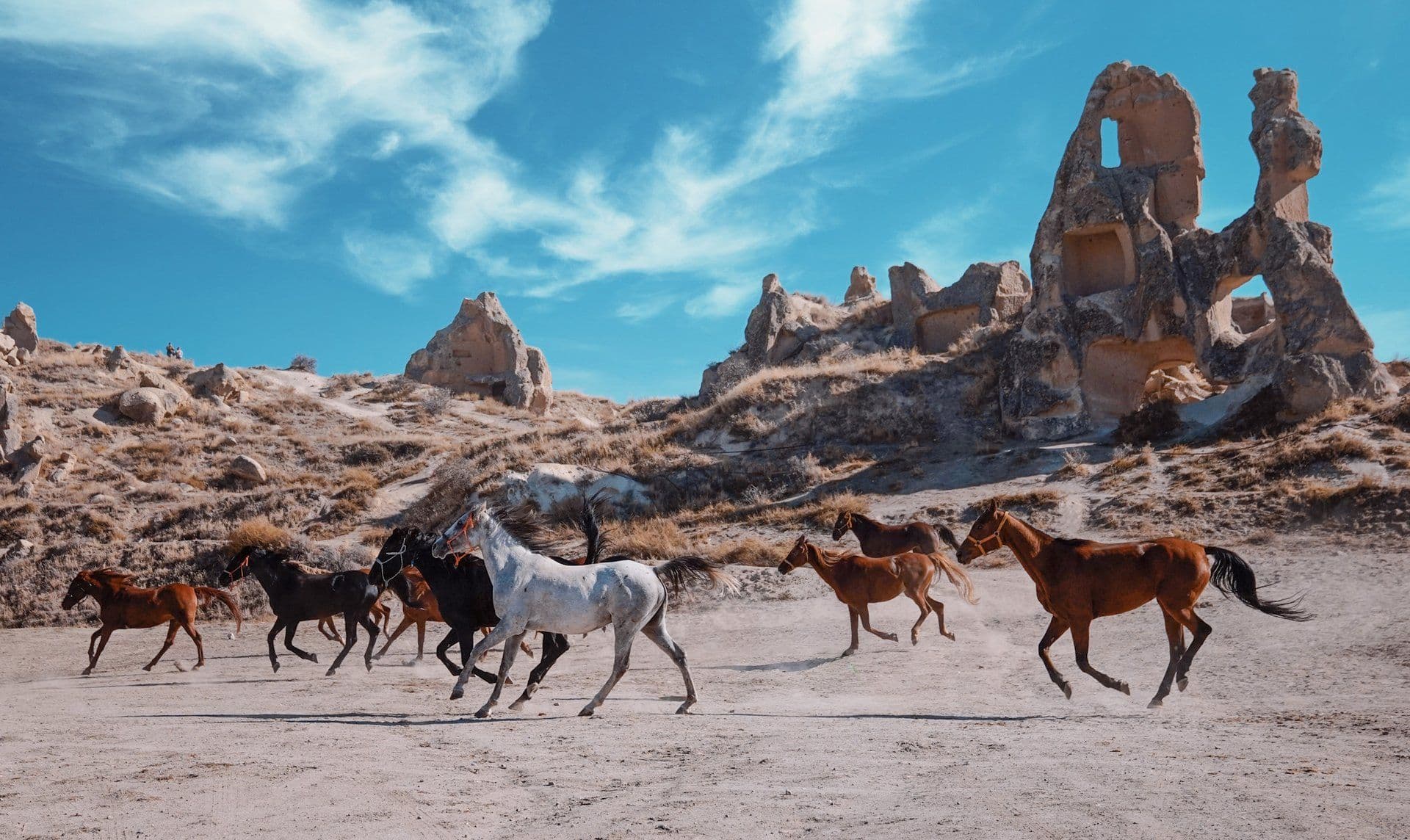 Horseback at Dusk